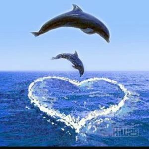 Meet your Posher, Alana